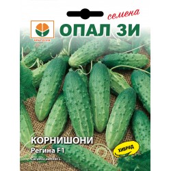 Семена на КОРНИШОНИ Регина F1 - Опал Зи