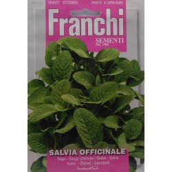 Семена от Градински чай (Салвия) - Salvia officinalis