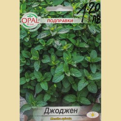 Семена на Джоджен