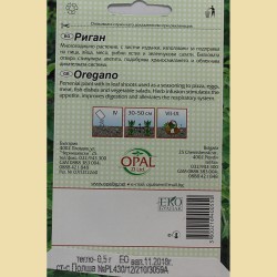 Риган - Origanum vulgare