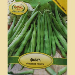Фасул - Сакса