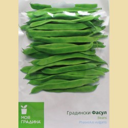 Фасул - Грийн Кроп (Градински)