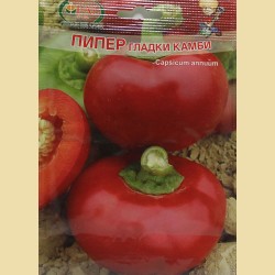 ПИПЕР ГЛАДКИ КАМБИ
