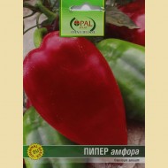 ПИПЕР Амфора