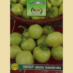 ПИПЕР Люти камбички