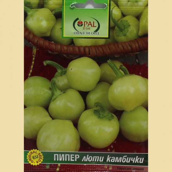ПИПЕР Люти камбички