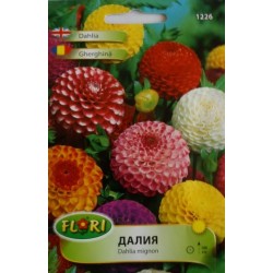 Семена на цветя Далия Помпон смес