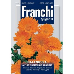 Семена на невен с единични цветове – оранжев – Franchi Sementi (Италия)