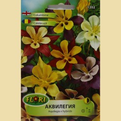 Семена на Аквилегия (Кандилка)
