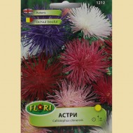 Семена на Астри (Богородички)