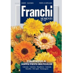 Семена на невен с двойни цветове – микс – Franchi Sementi (Италия)