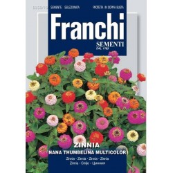 СЕМЕНА НА ЦИНИЯ НИСКА ТУМБЕЛИНА МИКС