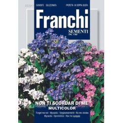 Незабравка микс – семена от Franchi Sementi (Италия)
