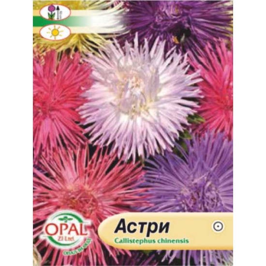 Семена на АСТРИ 50 см.