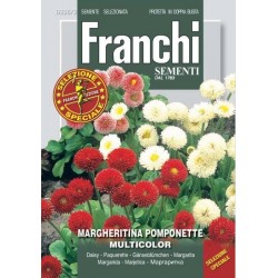 СЕМЕНА НА ПАРИЧКА / БЕЛИС/ МИКС /МНОГОГОДИШНА МАРГАРИТКА/ 