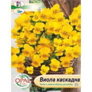 Семена на Виола Каскадна (Теменуга) - Опал Зи