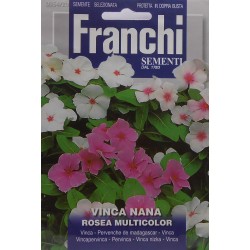 Семена на Винка (Катарантус) микс - Catharanthus roseus