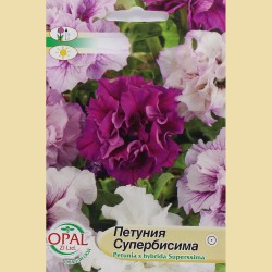 Петуния Супербисима