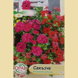 Сакъзче