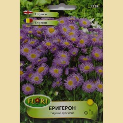 Семена на цветя Еригерон