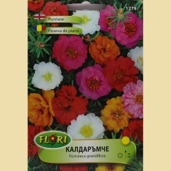 Семена на цветя Калдаръмче