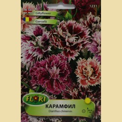 Семена на цветя  Карамфил Микс 1231
