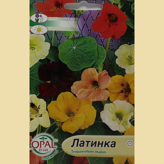 Семена на цветя Латинка (висока)