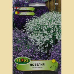 Семена на Лобелия