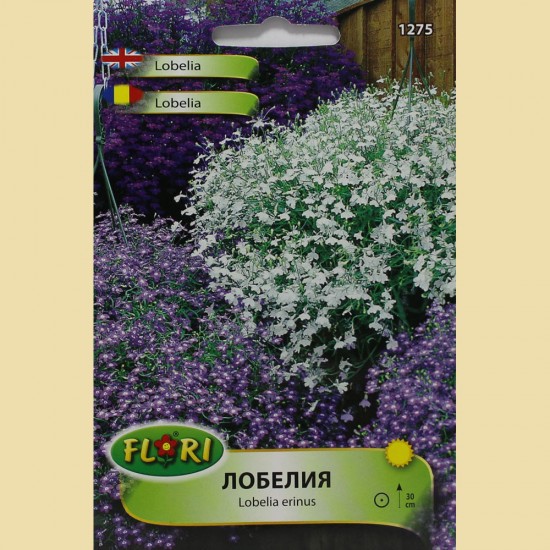 Семена на Лобелия