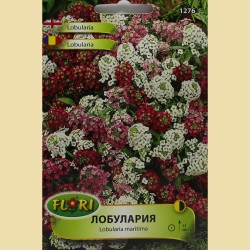 Семена на Лобулария (Алисум, Lobularia maritima)