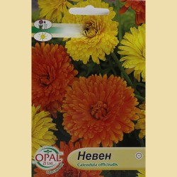 Семена на цветя – Невен (Calendula) 