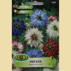 Нигела