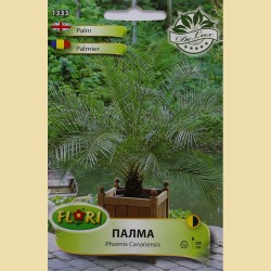 Палма