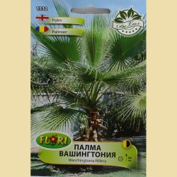 Палма Вашингтония