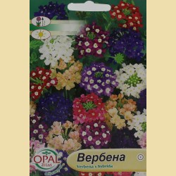 Семена на цветя Вербена