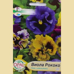 Семена на цветя Виола Рококо