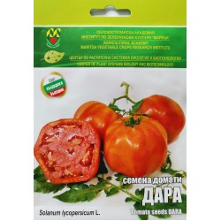 Семена на Домати Дара ИЗК МАРИЦА 