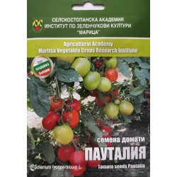 Семена на домати Пауталия ”ИЗК „Марица“