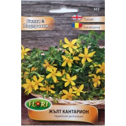 Семена на Жълт Кантарион