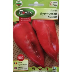 ПИПЕР Куртовска капия