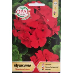 Семена на Мушкато Червени Цветове Pelargonium x hortorum