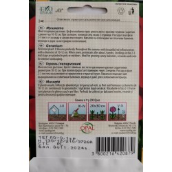 Семена на Мушкато Червени Цветове Pelargonium x hortorum
