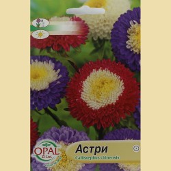 Семена на Астри (50 см)