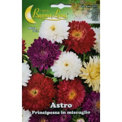Семена - Астри Принцеса (MEGA Pack)