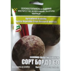 Семена на салатно цвекло на ИЗК МАРИЦА - БОРДО 60