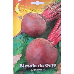 Семена на Салатно Цвекло Детройт 2