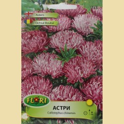 Семена на Астри (Контрастер, ниски)